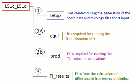 Sub-structure of the transformation specific folder created in the setup of the TI calculations